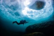 diving